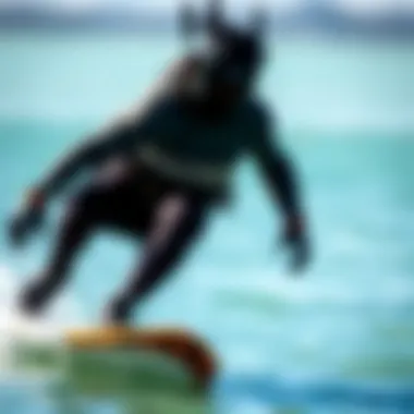 Kiteboarding in a Dry Suit Kiteboarder wearing a dry suit on the water