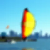 Boston Big Game Kite in Action The Boston Big Game Kite soaring over the waterfront