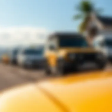 Diverse car options available for rent