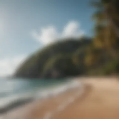 Coconut Bay's Pristine Coastline Stunning view of Coconut Bay Beach Resort's pristine coastline