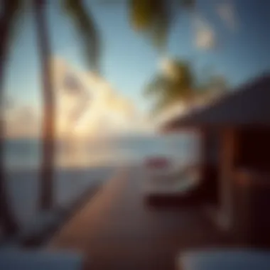 Elegant Beachfront Lodging Luxurious accommodation options near the beach