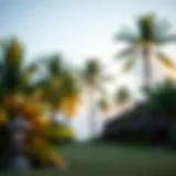 Serene view of Coconut Beach Resort with lush palm trees