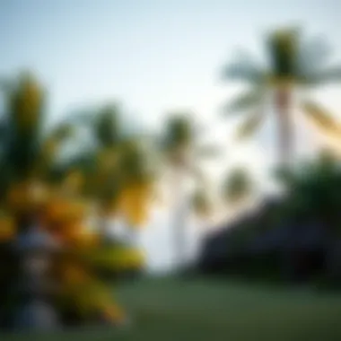 Coconut Beach Resort: A Tranquil Escape Serene view of Coconut Beach Resort with lush palm trees