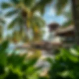Lush tropical surroundings of Coconut Hotel