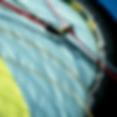 Kite Design and Features Close-up of a kite showing its intricate design and materials