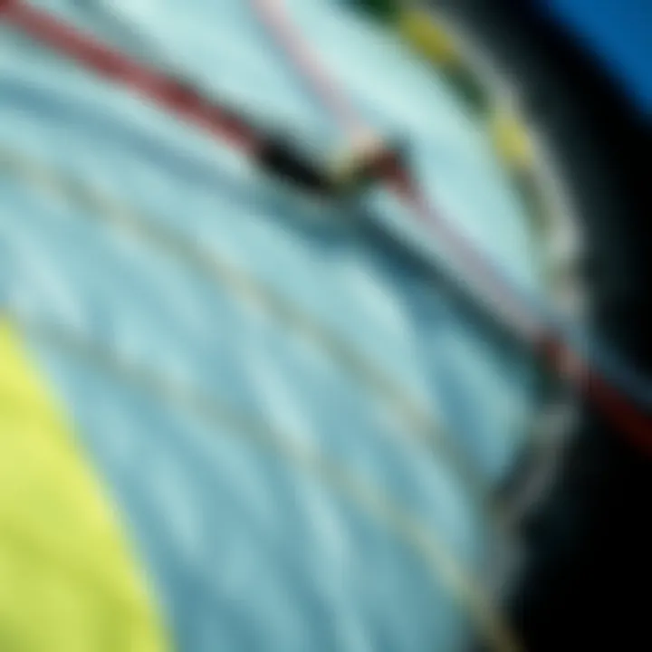 Kite Design and Features Close-up of a kite showing its intricate design and materials