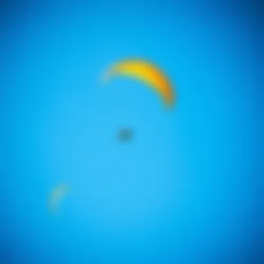 Vibrant kites soaring in a clear blue sky