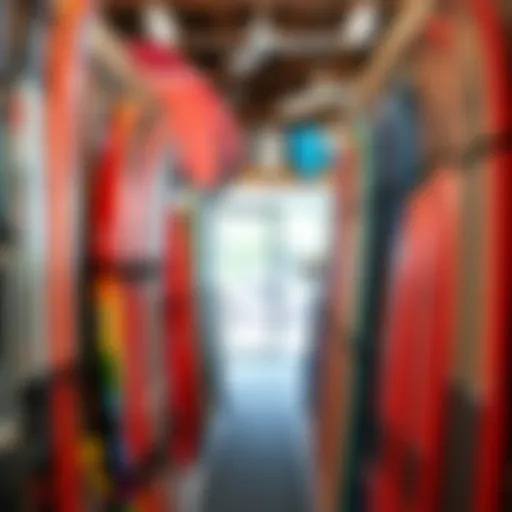 Vibrant kiteboarding gear display showcasing various boards and kites