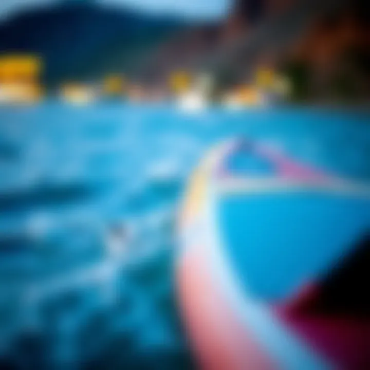 Dakine SUP Bag vs. Competitors Comparison of Dakine SUP Bag with other paddleboard bags