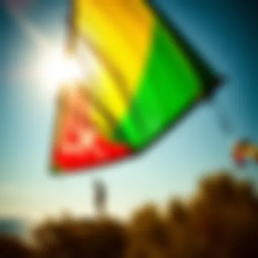 Vibrant Aesthetic Innovations in Duotone Kites Vibrant design showcasing the latest duotone kite aesthetics