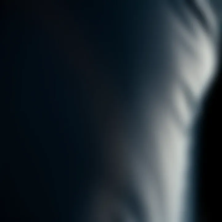 Close-up of evo wetsuit material showcasing its texture