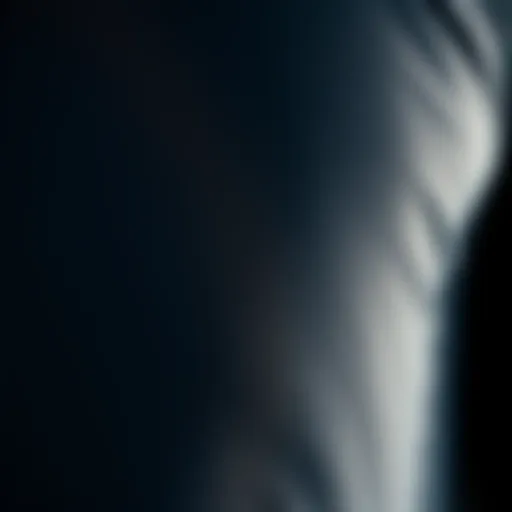 Evo Wetsuit Material Texture Close-up of evo wetsuit material showcasing its texture