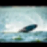 Cutting-edge hydro foil board gliding over the water surface