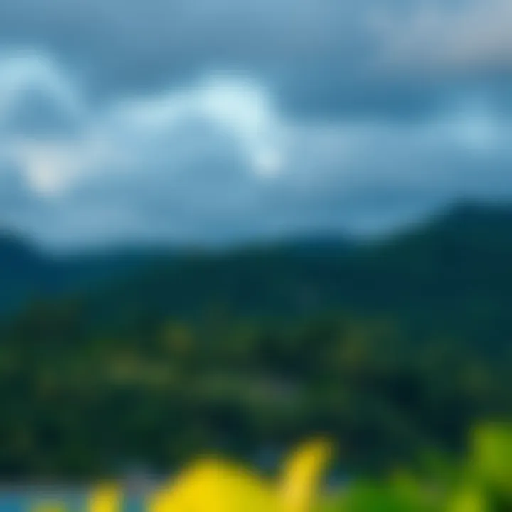 Tropical Beauty of Cabarete Lush tropical landscape surrounding Cabarete