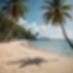 Stunning view of Coconut Resort's beachfront