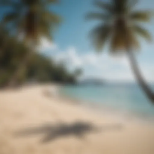 Breathtaking Beachfront at Coconut Resort Stunning view of Coconut Resort's beachfront