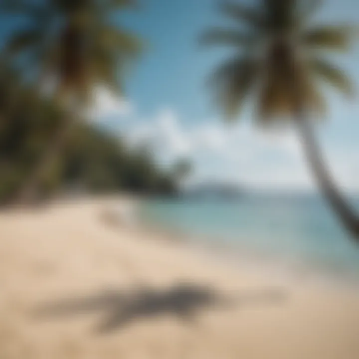 Breathtaking Beachfront at Coconut Resort Stunning view of Coconut Resort's beachfront