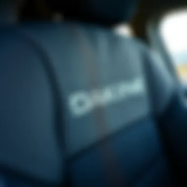 Close-up of Dakine seat cover material texture