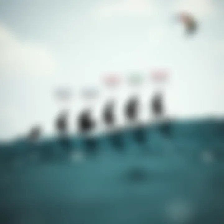 Evolution of Duotone Technology and Material Choices Infographic detailing the evolution of duotone technology and material choices