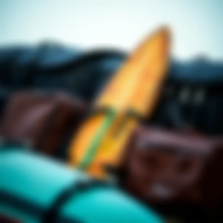 Different Types of Surfing Travel Bags Different types of surfing travel bags displayed together