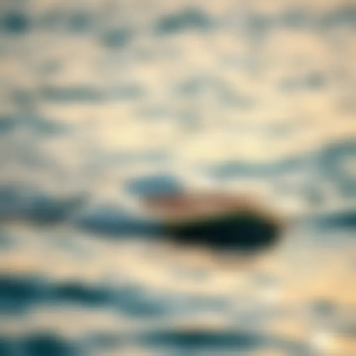 Elegant Foil SUP Board in Action A beautifully designed foil SUP board gliding over water