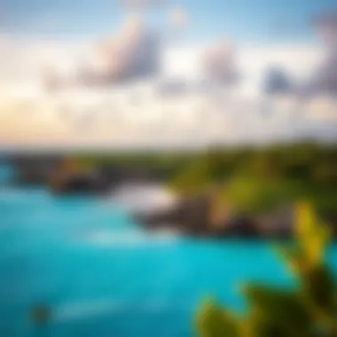 Stunning Caribbean coastline of Aruba