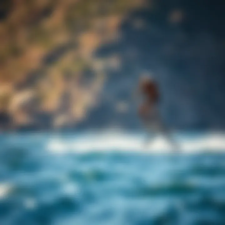 Comparison of Hydrofoil Models Comparison of different hydrofoil models for optimal performance