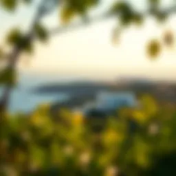 Breathtaking view of Isalos Villas surrounded by lush greenery and sea