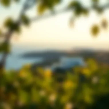 Serenity at Isalos Villas Breathtaking view of Isalos Villas surrounded by lush greenery and sea