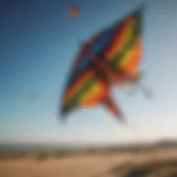 A variety of kites displayed, showcasing different styles and designs.