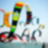 Diverse kites in various colors and designs