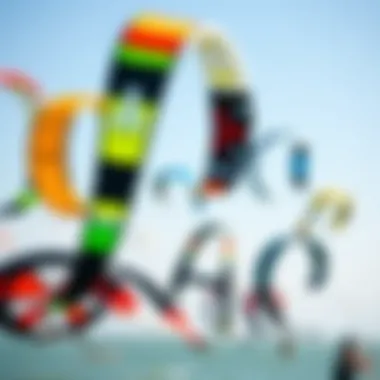 Exploring the Variety of Kites in Kiteboarding Diverse kites in various colors and designs