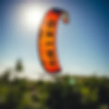 Sustainability in Kite Manufacturing: Economic Implications Sustainable materials used in kite manufacturing