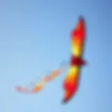 Kite Soaring in the Sky A vibrant kite soaring against a clear blue sky