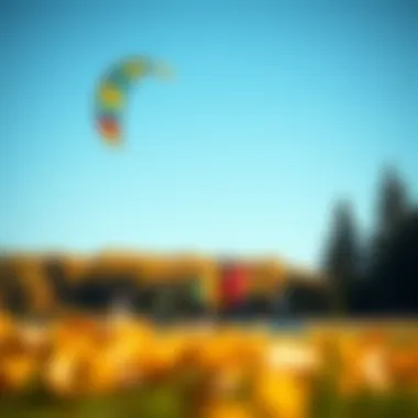 Kite Surfers Amidst Autumn Colors A group of kite surfers practicing their skills against a backdrop of autumn foliage