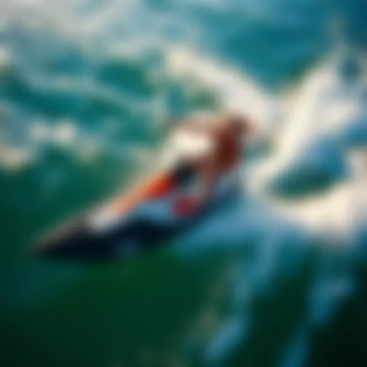 Applications in Water Sports Diverse applications of lite efoils in water sports