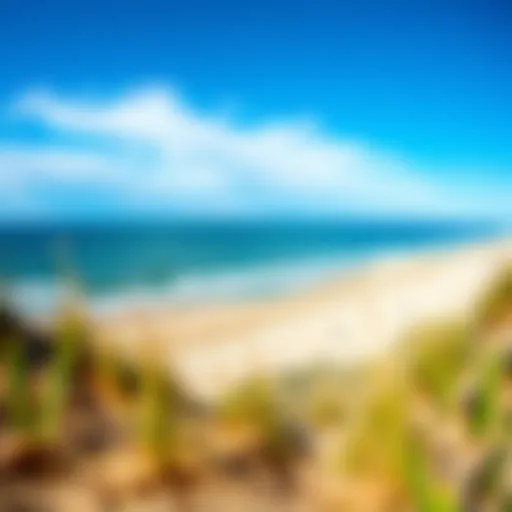 Panoramic View of Outer Banks Beaches A panoramic view of the pristine beaches of the Outer Banks