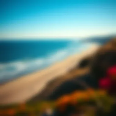 Breathtaking Panorama of Shell Point Beach A panoramic view of Shell Point Beach's coastline