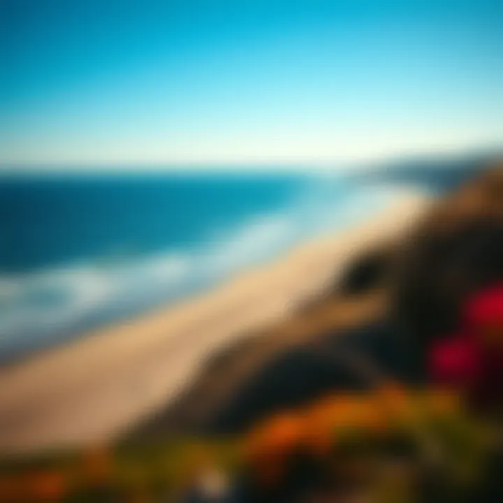 Breathtaking Panorama of Shell Point Beach A panoramic view of Shell Point Beach's coastline