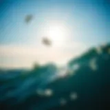 Thrilling Kiteboarding Experience at Shell Point Beach Kiteboarder soaring above the waves at Shell Point Beach