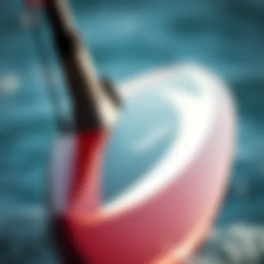 Craftsmanship of the Carafino Hydrofoil Close-up of the Carafino hydrofoil showcasing its sleek design and craftsmanship