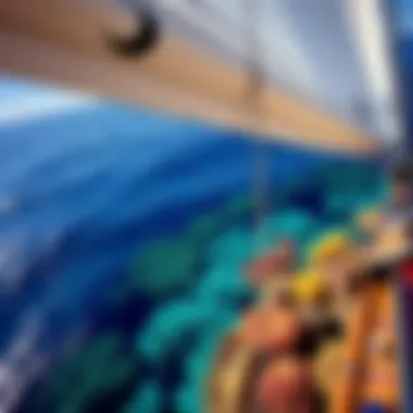 Coral Reef Under Sail A vibrant coral reef seen while sailing in the Caribbean