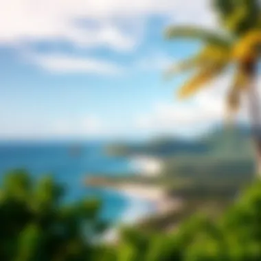 Natural Landscape of Coco Bay The stunning natural landscape surrounding Coco Bay