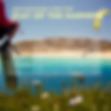 Advantages of the Halo Harness Comparison chart highlighting advantages of the Halo Harness over other types