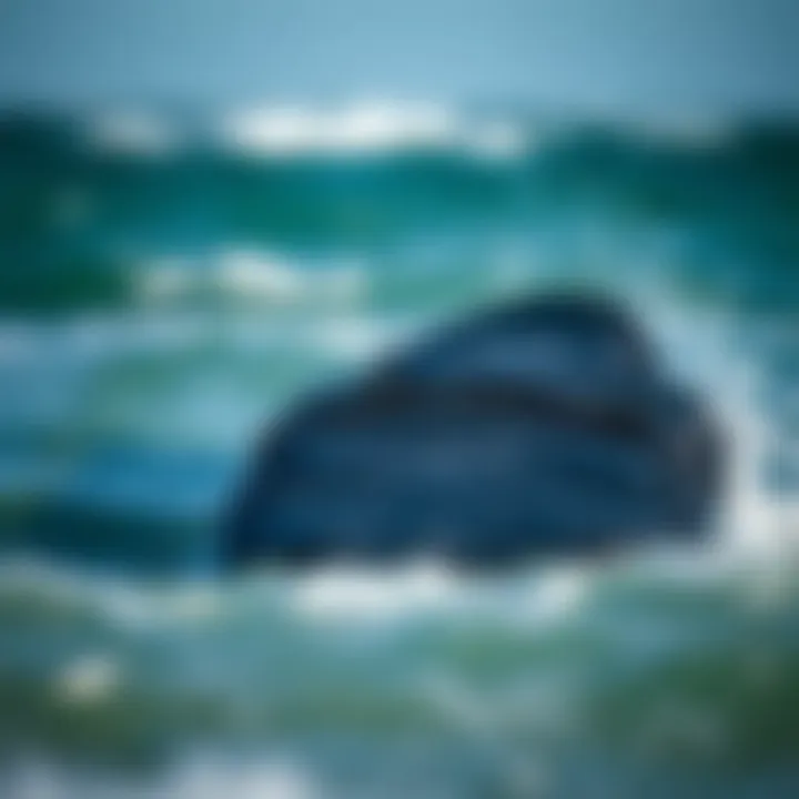 Maintenance Tips for Mystic Board Bag Longevity Proper maintenance techniques for prolonging the life of the board bag