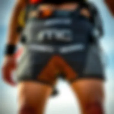 Innovative Design of Shorts Harness Close-up of a shorts harness showcasing its design features