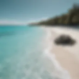 Turquoise waters of Grace Bay