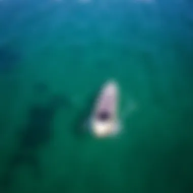 Aerial view of a foil SUP board gliding over clear waters