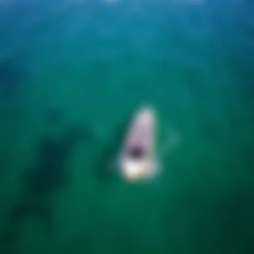 Aerial view of a foil SUP board gliding over clear waters