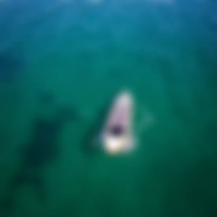 Aerial view of a foil SUP board gliding over clear waters